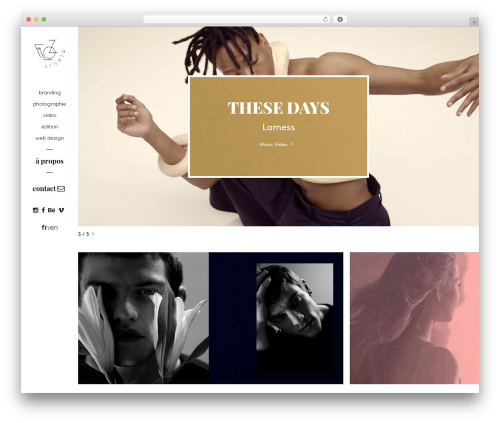 Wp hummingbird WordPress plugin - floz-studio.com