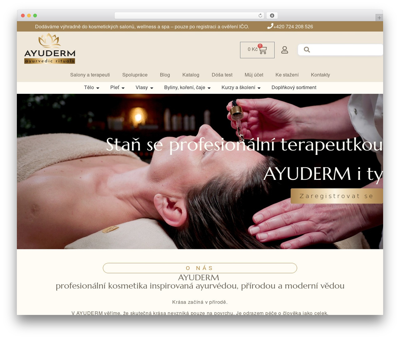 Theme WordPress Hello Elementor - ayuderm.cz Theme WordPress Hello Elementor - ayuderm.cz