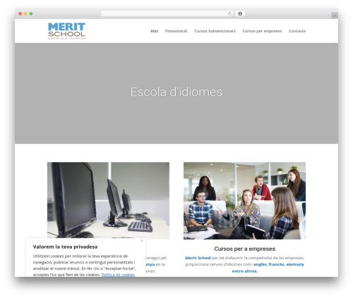 WordPress theme Divi - meritschool.com