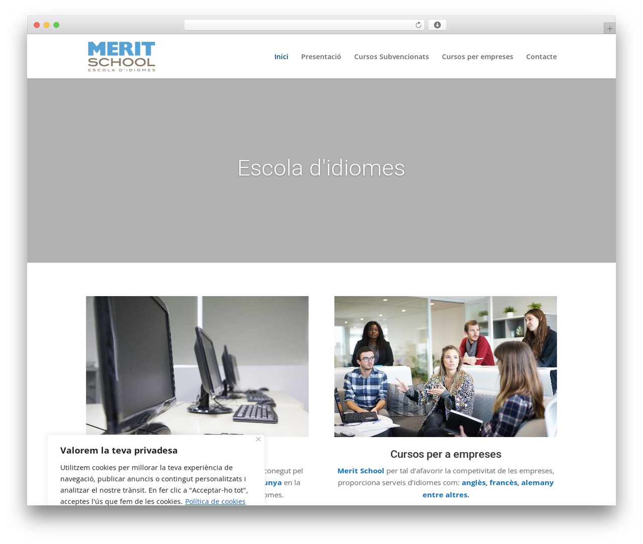 WordPress theme Divi - meritschool.com