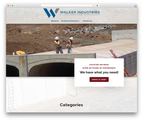 Mci options WordPress plugin - walkerprecast.com
