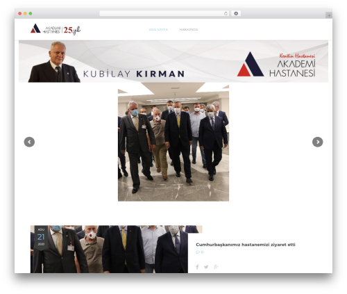 Wyde core WordPress plugin - kubilaykirman.com