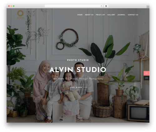 Reflector plugins WordPress plugin - alvinstudio.co.id