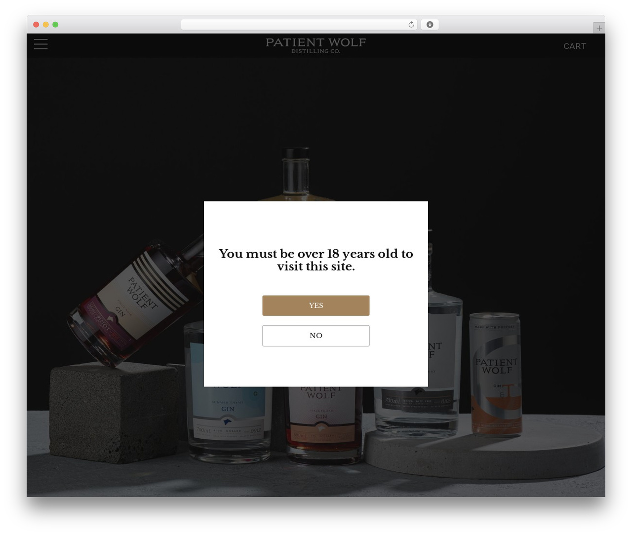Theme WordPress Hello Elementor - patientwolfgin.com