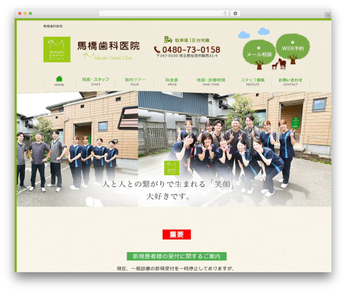 WordPress theme humanity ????? - mabashi-dc.com