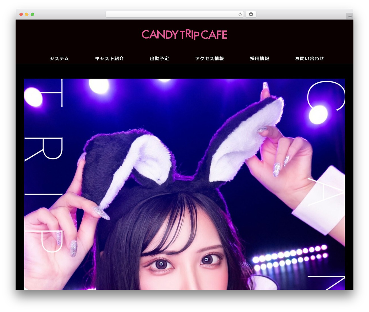 WP theme Cocoon - candytripcafe.com