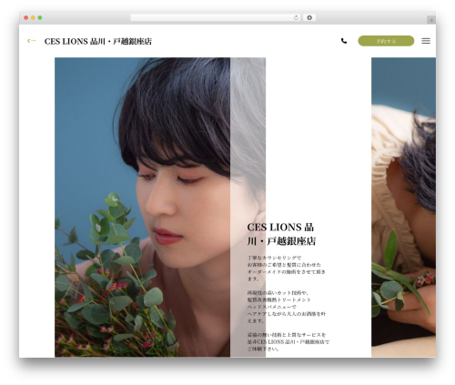WordPress theme Note - ceslions-shinagawa-togoshiginza.com
