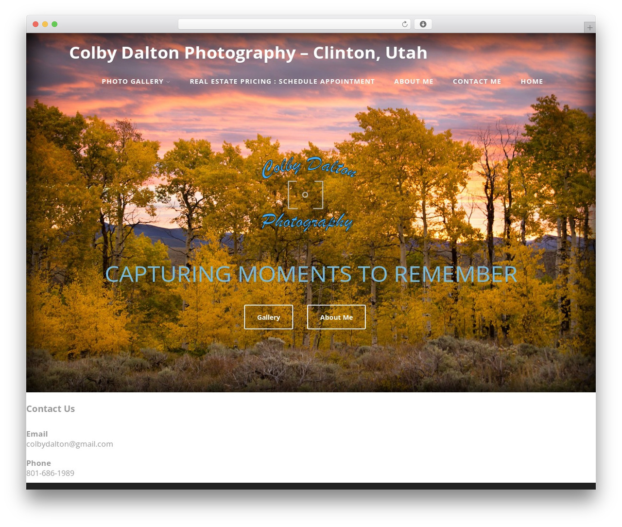 Optimizer WordPress theme - colbydaltonphotography.com Optimizer WordPress theme - colbydaltonphotography.com