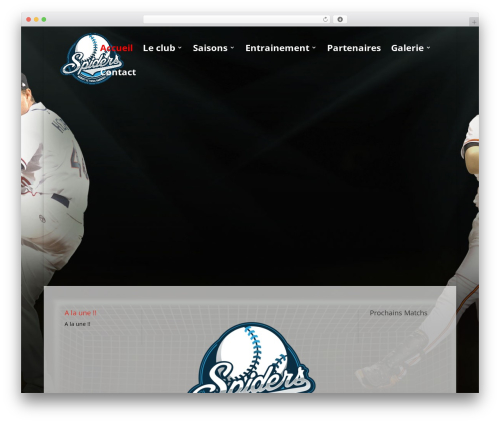 Csshero211 WordPress plugin - spiders-baseball.com