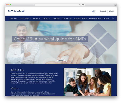 Extra WordPress theme - kaello.com