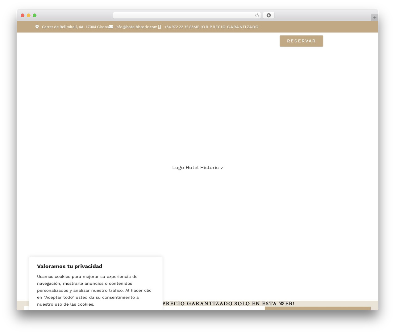 Hello Elementor Child WordPress theme design - hotelhistoric.com