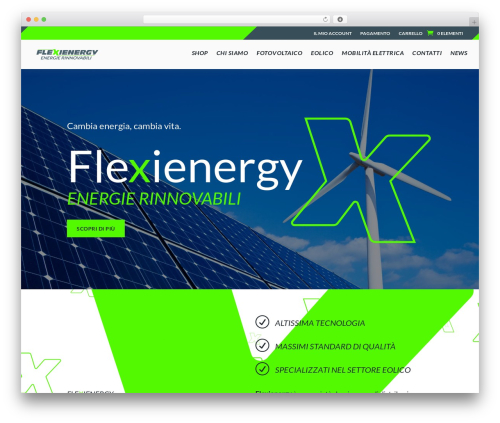 WordPress theme Divi - flexienergy.it