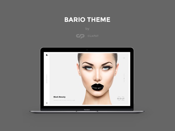Bario WordPress theme