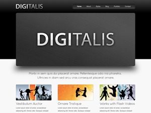Digitalis WordPress video theme by Ruven Pelka