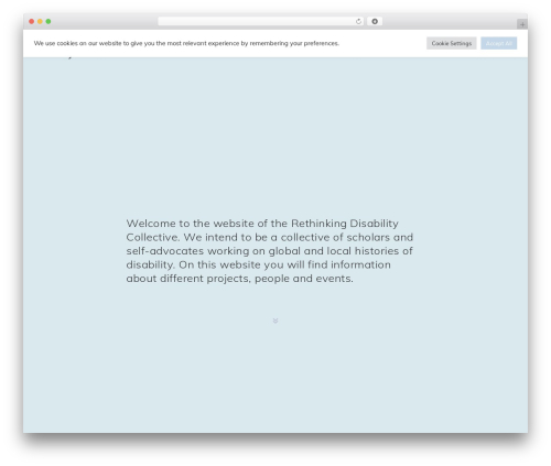 DisThemeRocks WordPress theme - rethinkingdisability.net