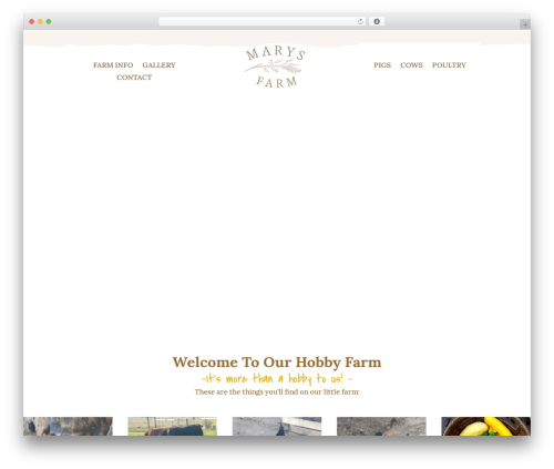 Divi premium WordPress theme - maryshobbyfarm.com