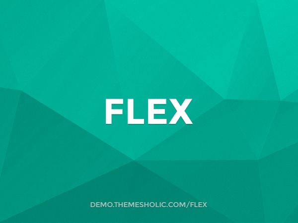 Flex WP theme