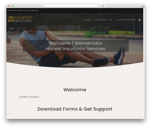Visucom smart sections WordPress plugin - honest-benefits.com