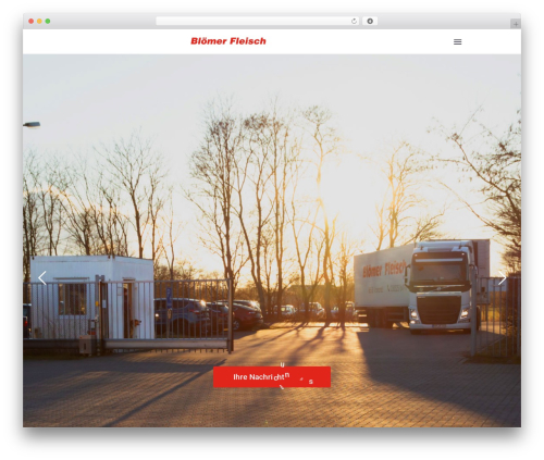 Thegem elements elementor WordPress plugin - bloemer-fleisch.de