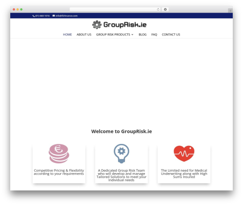 WordPress theme Divi - grouprisk.ie