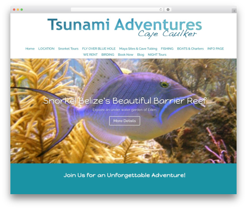1 flash gallery WordPress plugin - tsunamiadventures.com