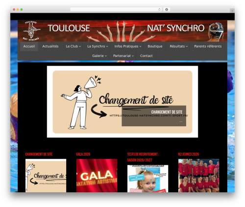 Theme WordPress Tempera - toulouse-natsynchro.fr