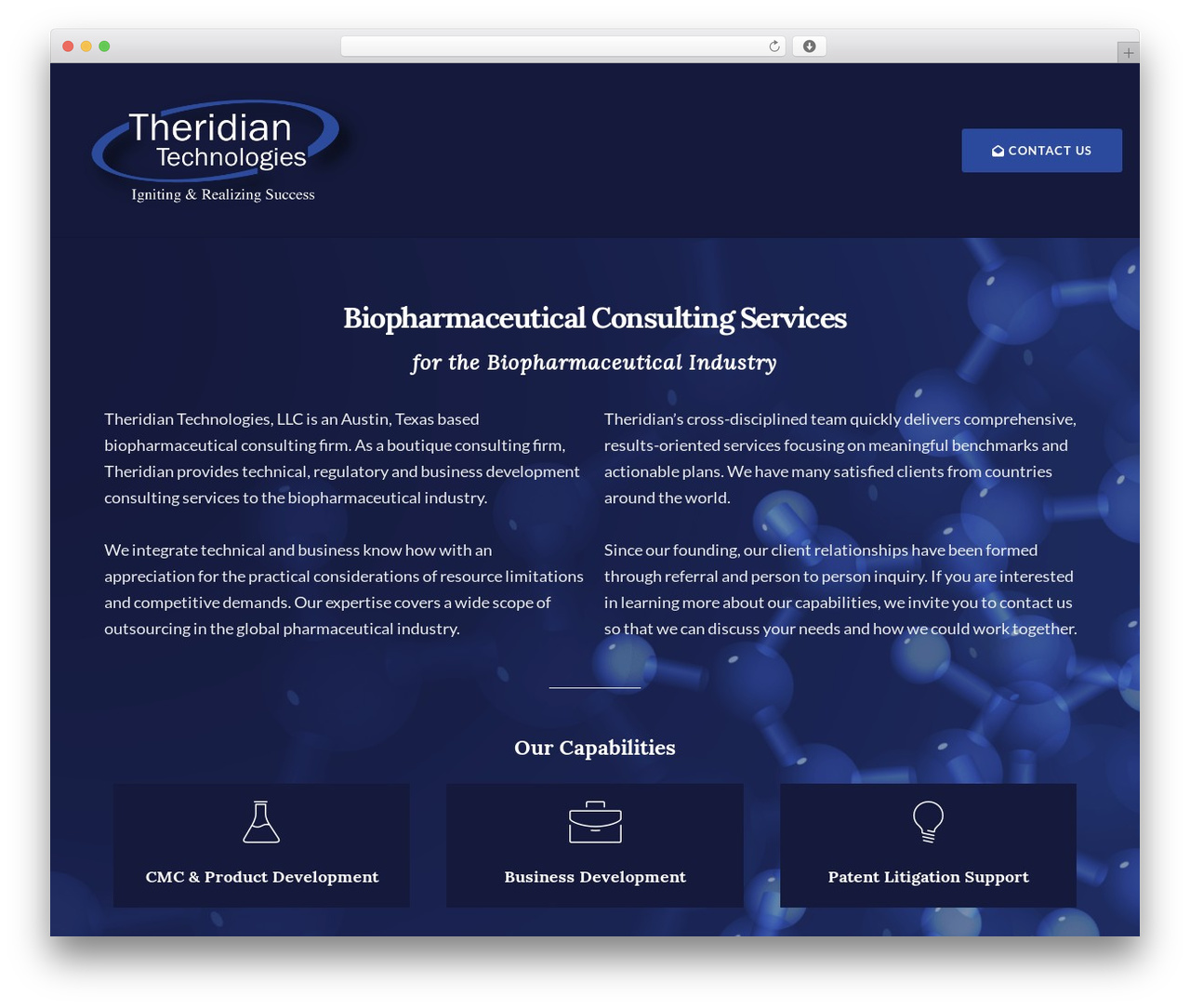 WordPress theme Movedo Child - theridian.com