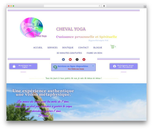 Sellkit pro WordPress plugin - chevalyoga.com