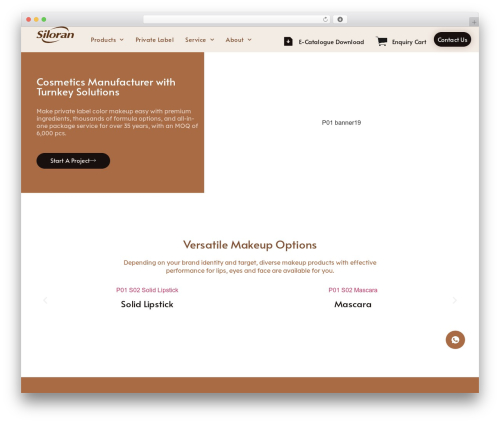 Infility global WordPress plugin - siloran.com