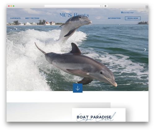 WP theme D4D Theme - mcs-florida.com