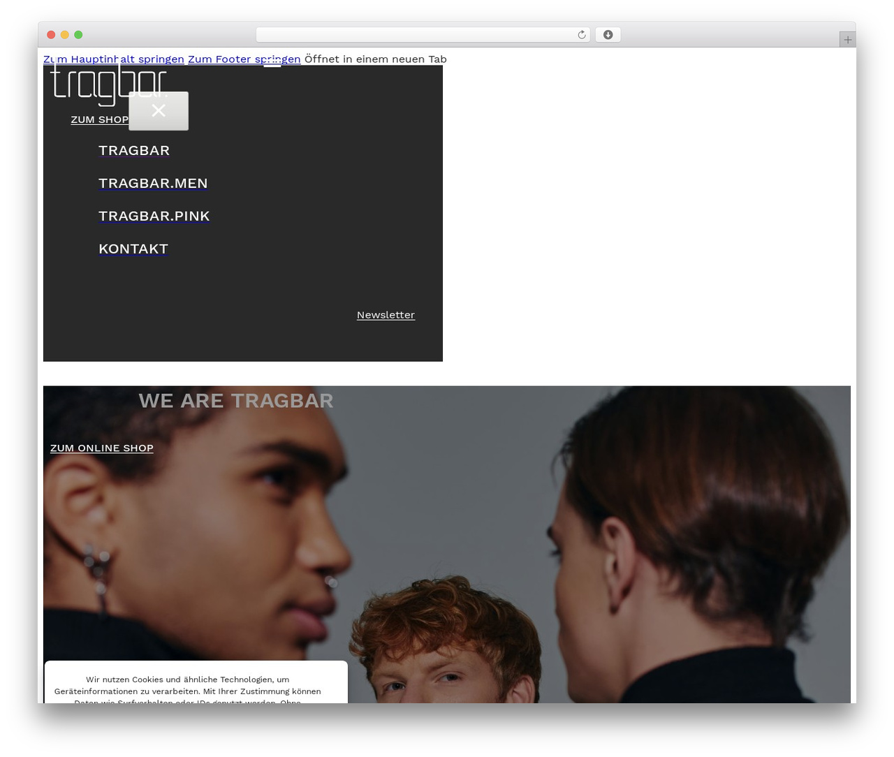 SNN-BRX - Bricks Builder Child Theme theme WordPress - tragbar.de