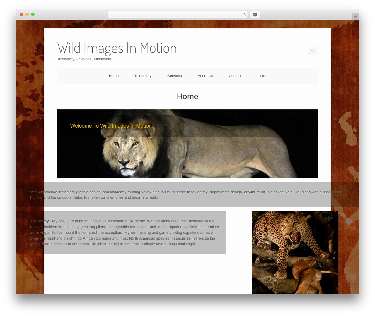 Origami WordPress theme - wildimagesinmotion.com Origami WordPress theme - wildimagesinmotion.com