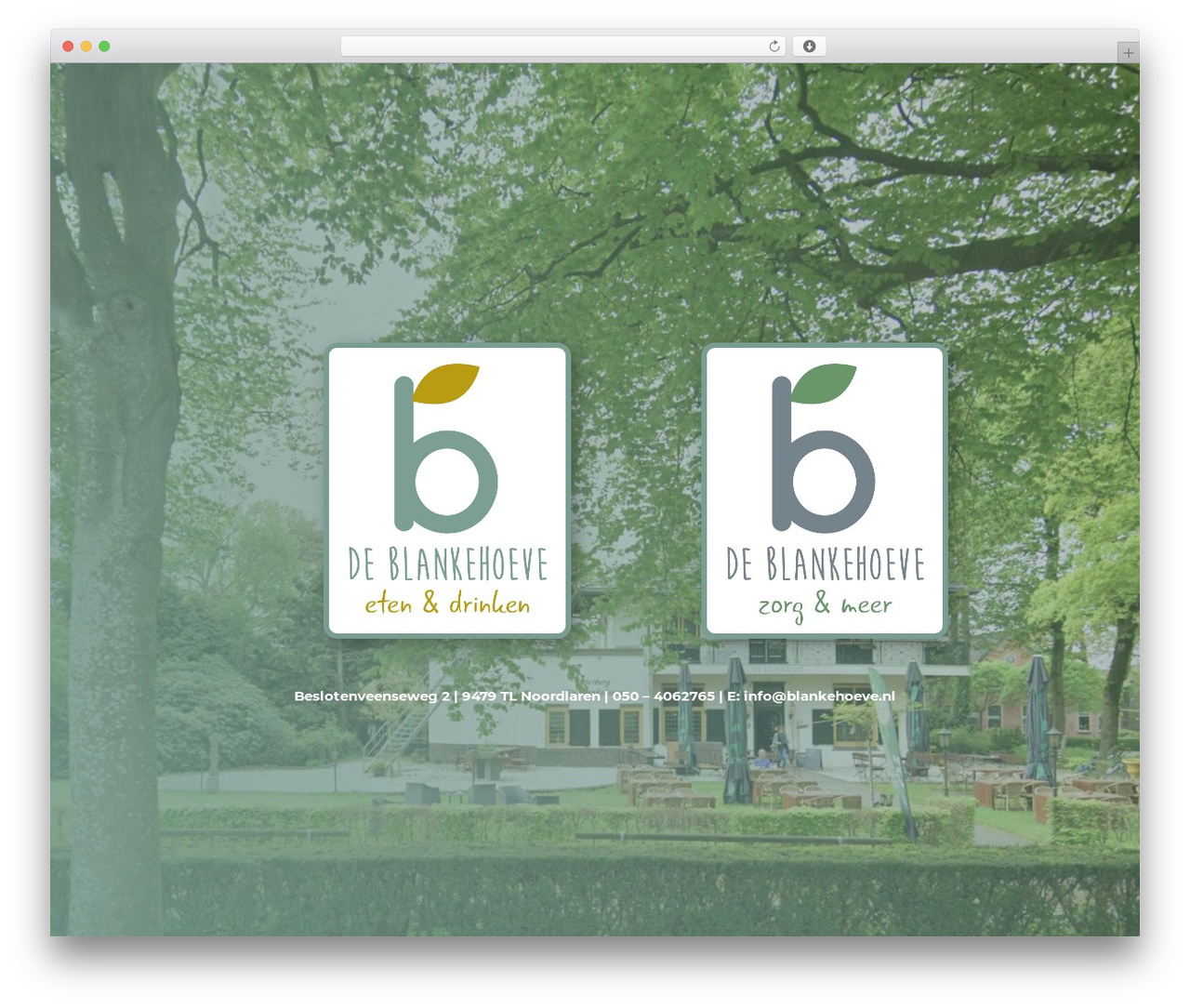 WordPress theme Divi - blankehoeve.nl