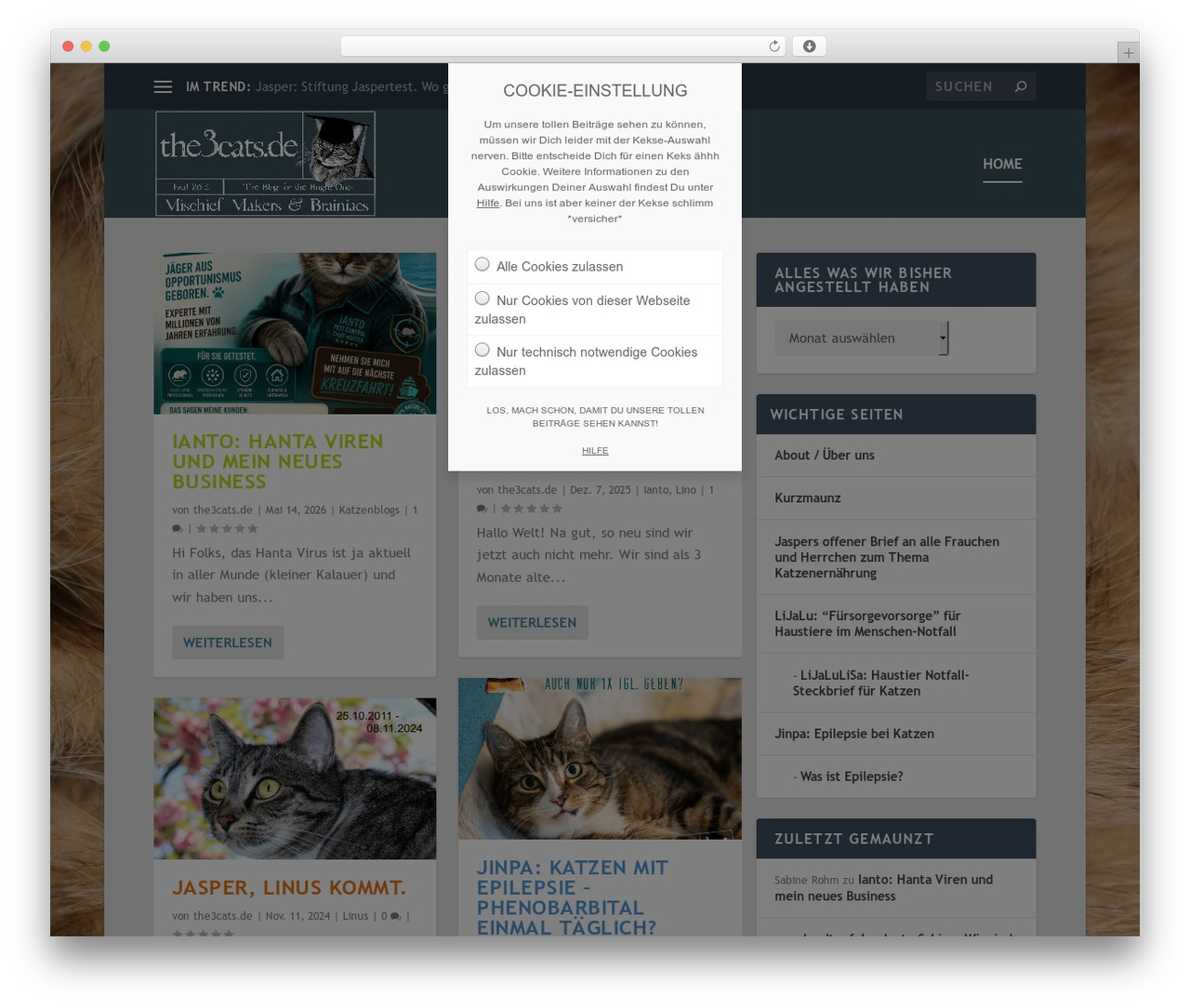WordPress website theme Extra - the3cats.de WordPress website theme Extra - the3cats.de