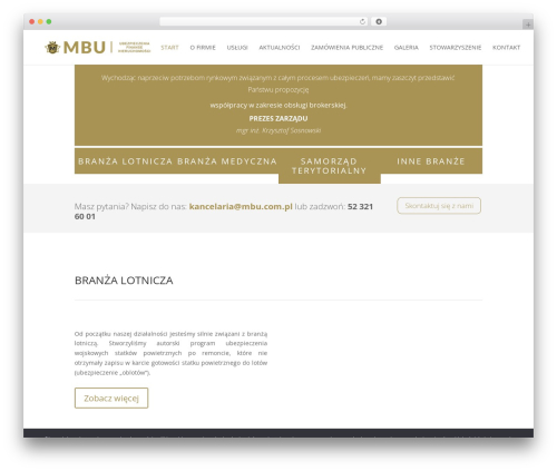 WP theme Divi - mbu.com.pl