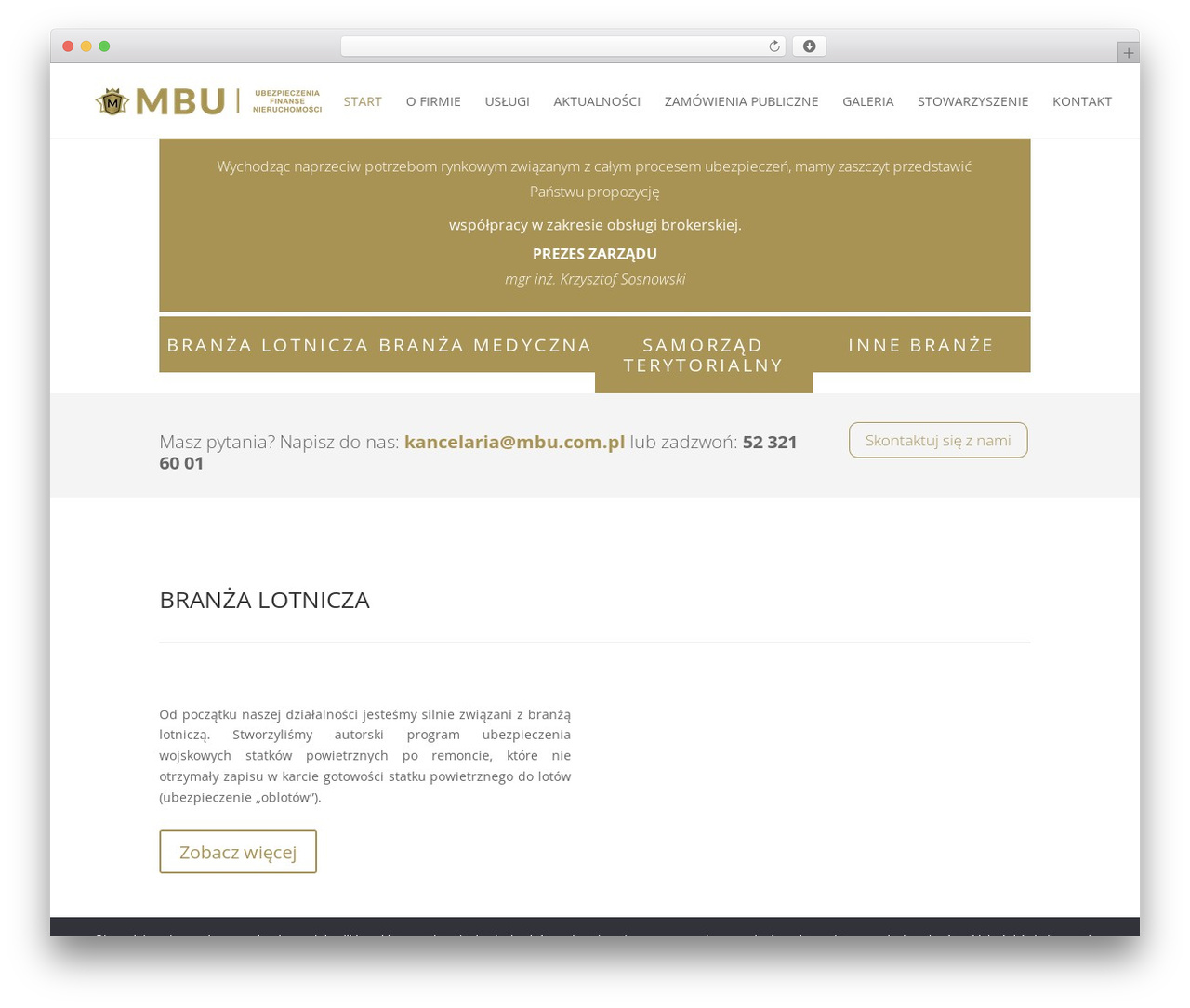 WP theme Divi - mbu.com.pl WP theme Divi - mbu.com.pl