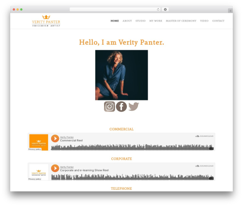 Create WordPress theme design - veritypanter.com