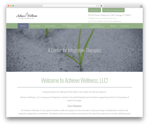 Bubbles / Brooklyn WordPress theme - achievewellnesscenter.com