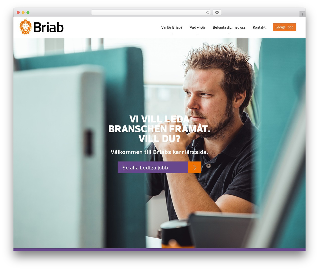 Client name WordPress theme - xn--jobbapbriab-28a.se