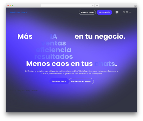 Insomnio DEV WordPress theme - www.b2chat.io