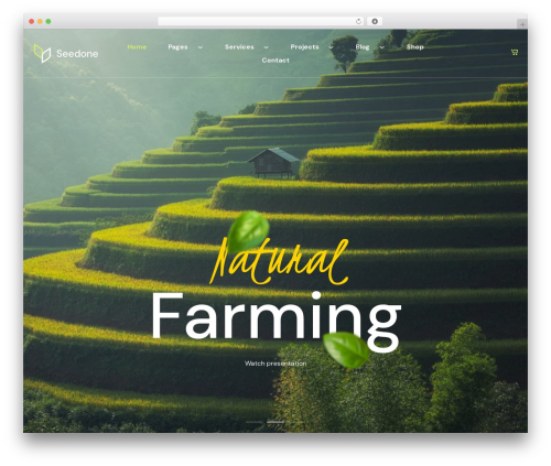 Seedone WordPress theme - webdesign-finder.com/seedone