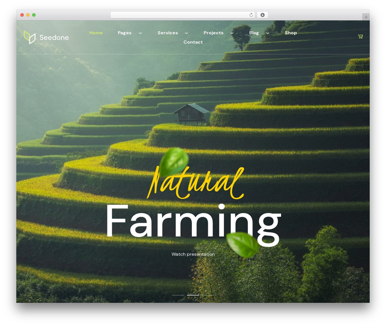 Seedone WordPress theme - webdesign-finder.com/seedone