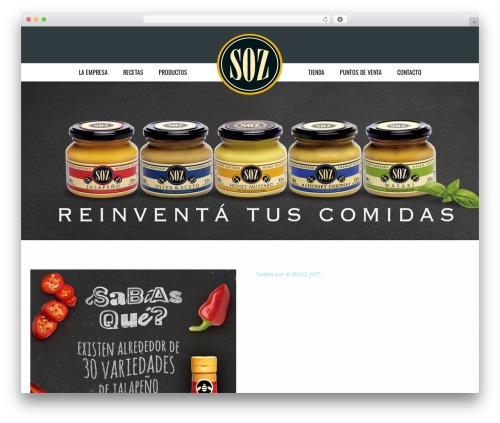 Social Media Followers Counter (social-media-followers-counter) free WordPress plugin - soz-net.com Social Media Followers Counter (social-media-followers-counter) free WordPress plugin - soz-net.com