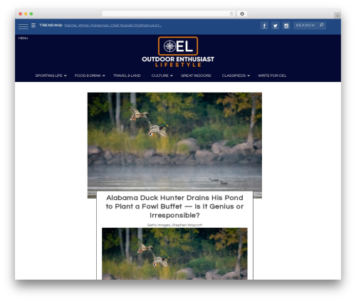 Aspen footer editor WordPress plugin - oelmag.com