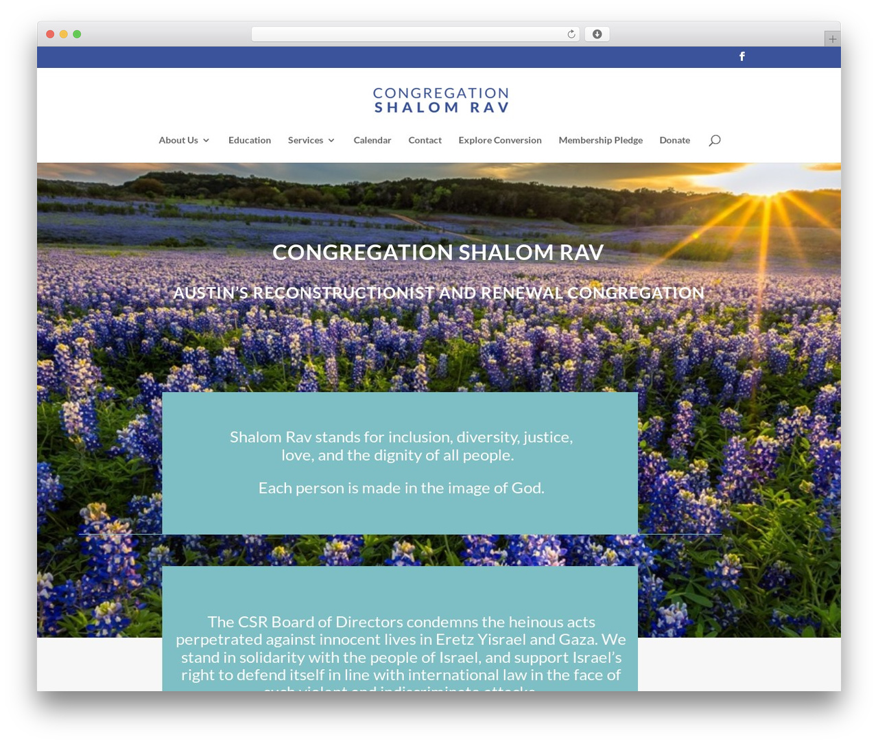 Divi WordPress theme - shalomravaustin.com Divi WordPress theme - shalomravaustin.com
