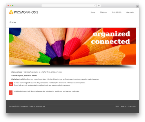 Primary WordPress theme - promorphosis.com