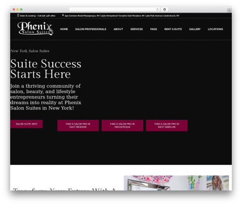WordPress theme Coiffeur - phenixsalonsuitesny.com