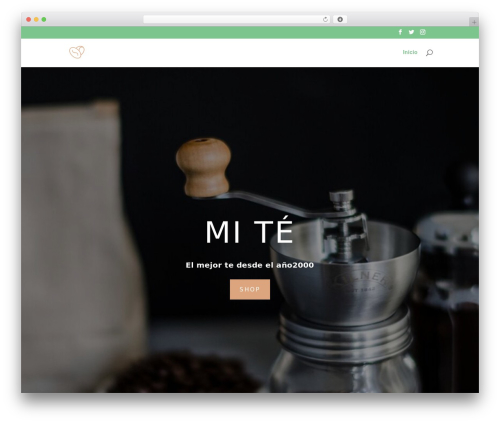WordPress theme Divi - purafotografia.com