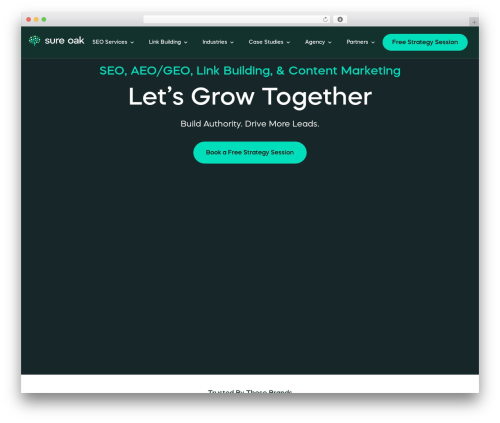 Custom iframe WordPress plugin - sureoak.com