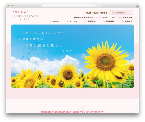Themify Basic WP theme - excellent-pal.com